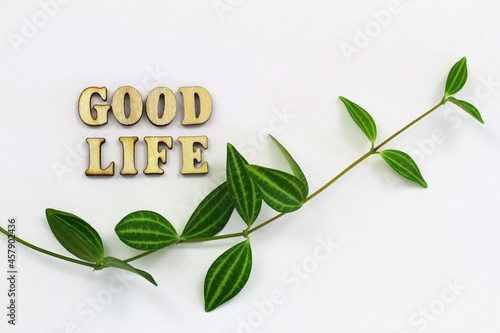 Obraz na płótnie Good life written with wooden letters on white surface with green leaves
w salonie