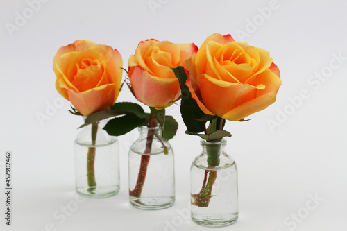 Obraz na płótnie Three orange roses in miniature transparent glass bottles on white background with copy space
w salonie