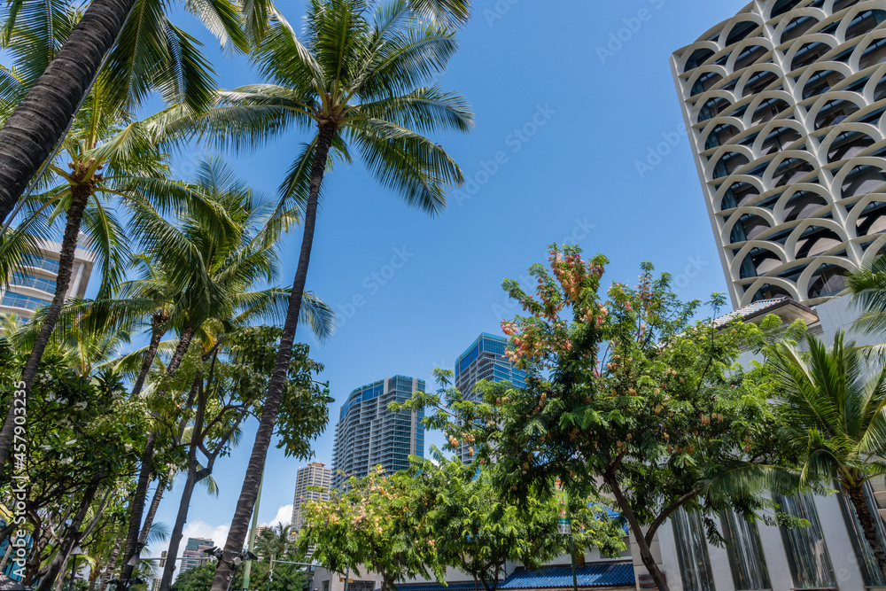 Scenic Waikiki Beach street vista, Honolulu, Oahu, Hawaii