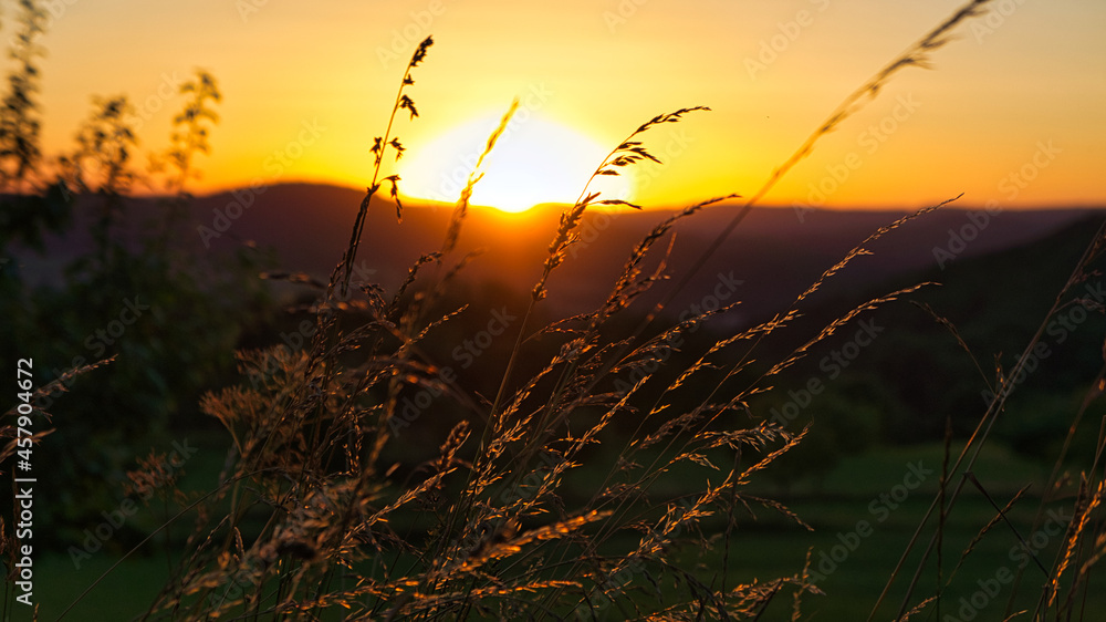 Obraz premium Sunset in Saarland with the view of a valley. Warm light mood