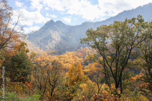 Chimney Tops Mountain Great Smoky Mountains National Park Fall Colors Tennessee