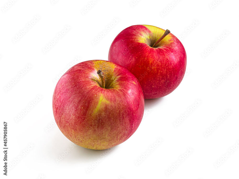 Two red-yellow apples isolated on a white background Two red-yellow apples isolated on a white background
