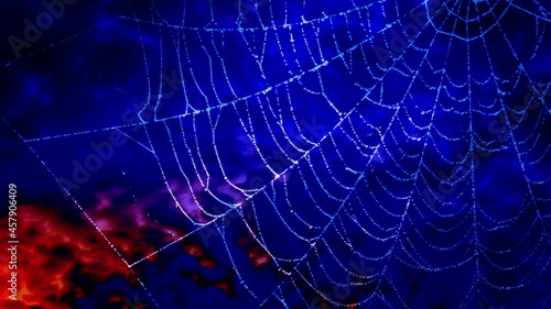 Swaying spider web with water drops against moved dark blue and red creepy background. Great Halloween decoration.