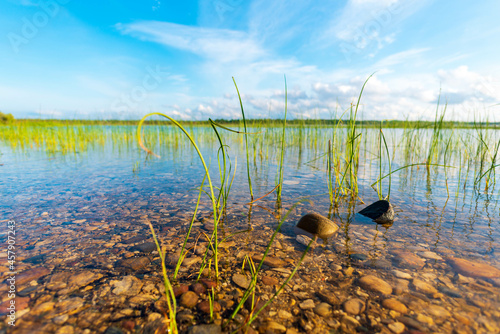 Fotografia Beautiful lakeshore of Duncan Bay at Cheboygan State Park in northern Michigan