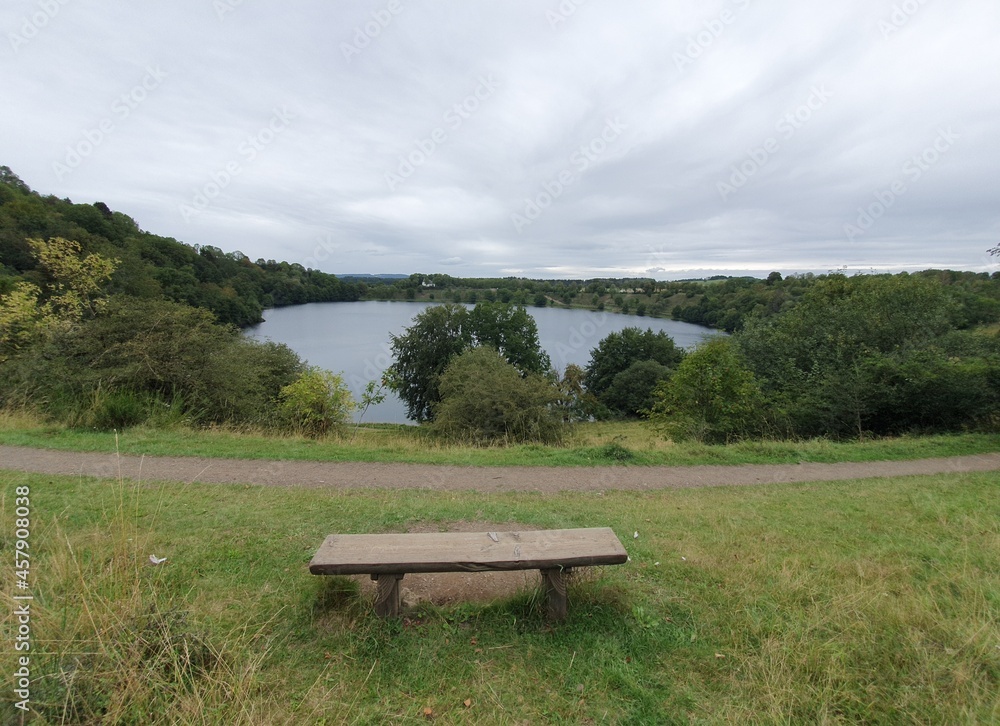 bench in the park bench in the park