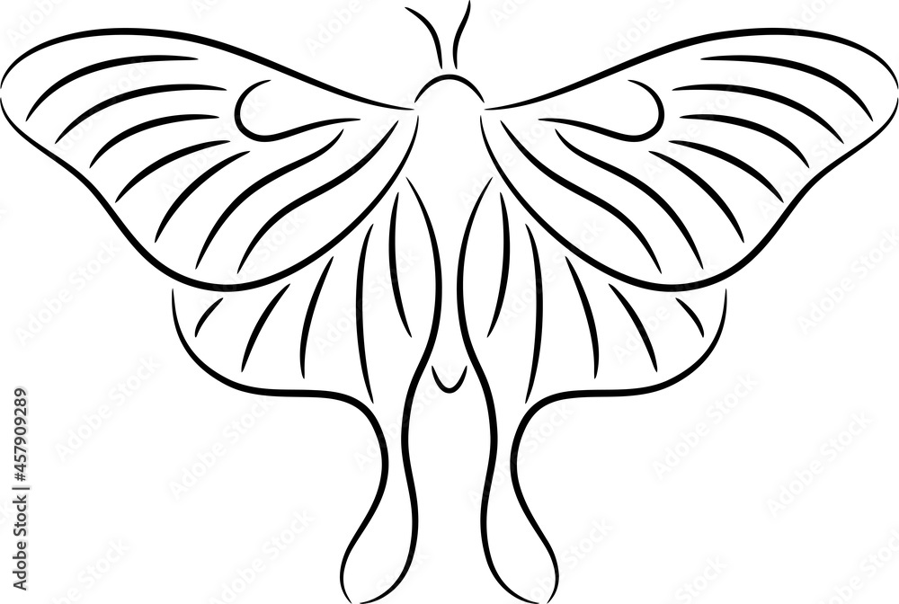 Obraz premium illustration of a butterfly, isolated