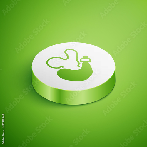 Isometric Spanish wineskin icon isolated on green background. White circle button. Vector
