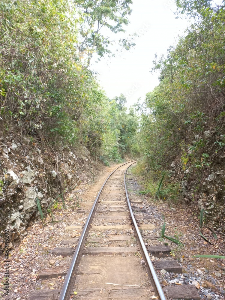 Obraz premium Nature lover