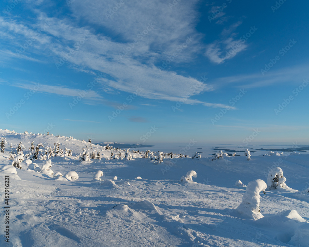 Winter landscape with snow-covered trees. Kandalaksha. Murmansk region