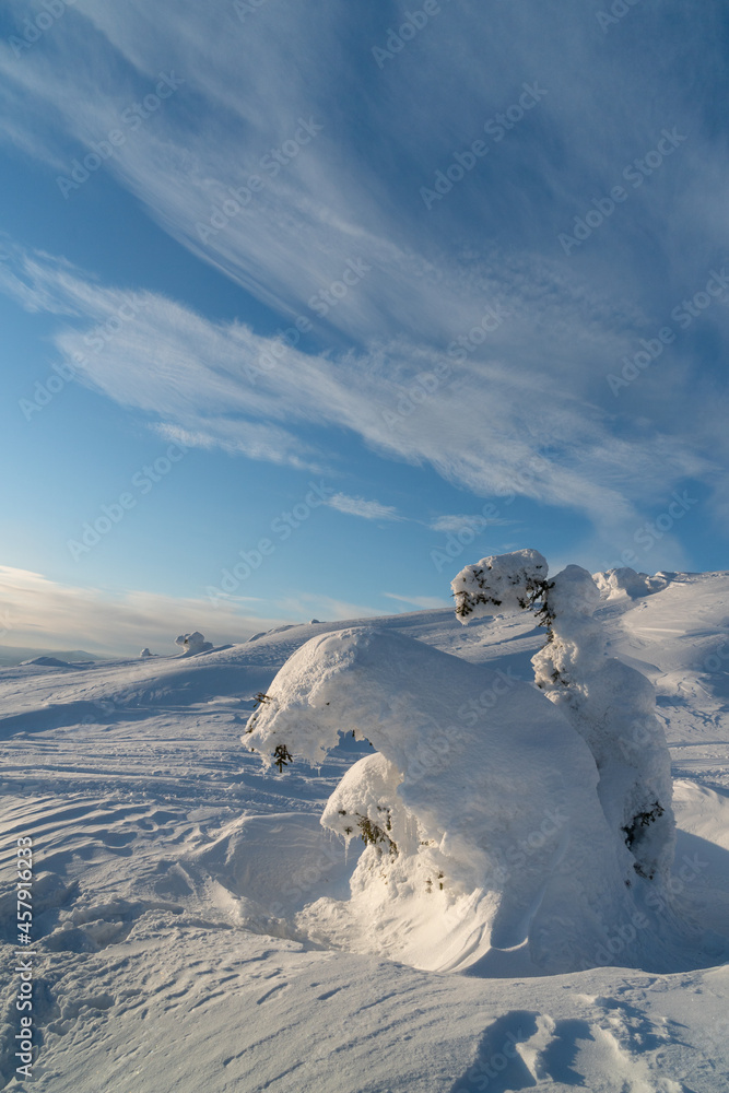 Winter landscape with snow-covered trees. Kandalaksha. Murmansk region