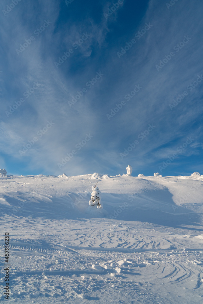 Winter landscape. Kandalaksha.