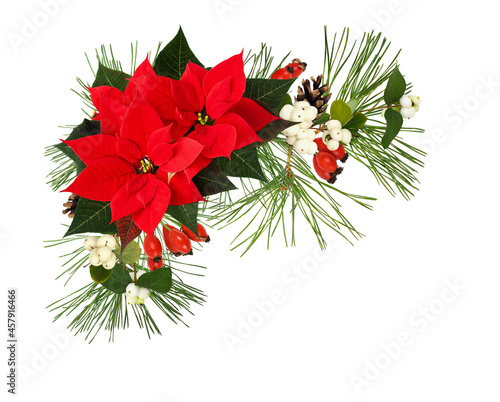 Corner Christmas arrangementwith poinsettia flowers, green spruce twigs and berries isolated on white