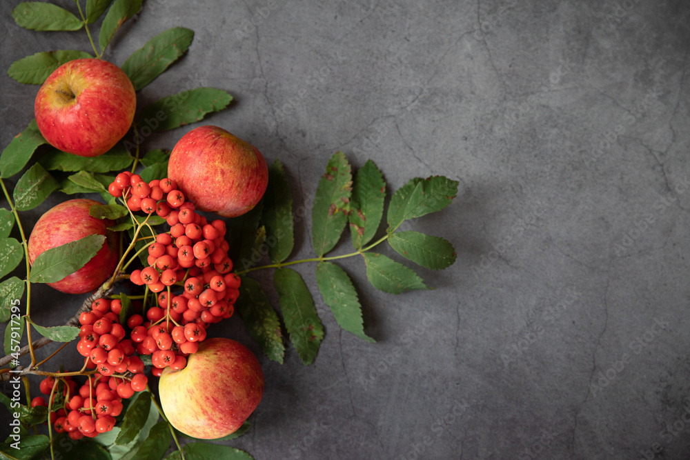 Bright orange rowan berries and ripe delicious red apples on a dark background, top view. Autumn series.