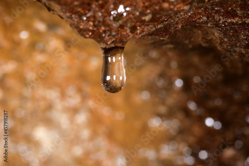 GOTA DE AGUA CAYENDO EN UN  NACIENTE photo