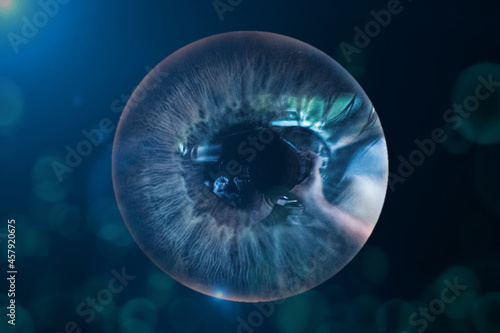 Blue iris of a person's eye