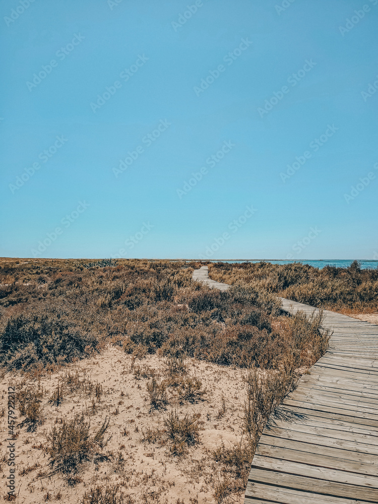 Chemin de bois pour une randonnée sur une île déserte en Algarve- Ilha Deserta Chemin de bois pour une randonnée sur une île déserte en Algarve- Ilha Deserta
