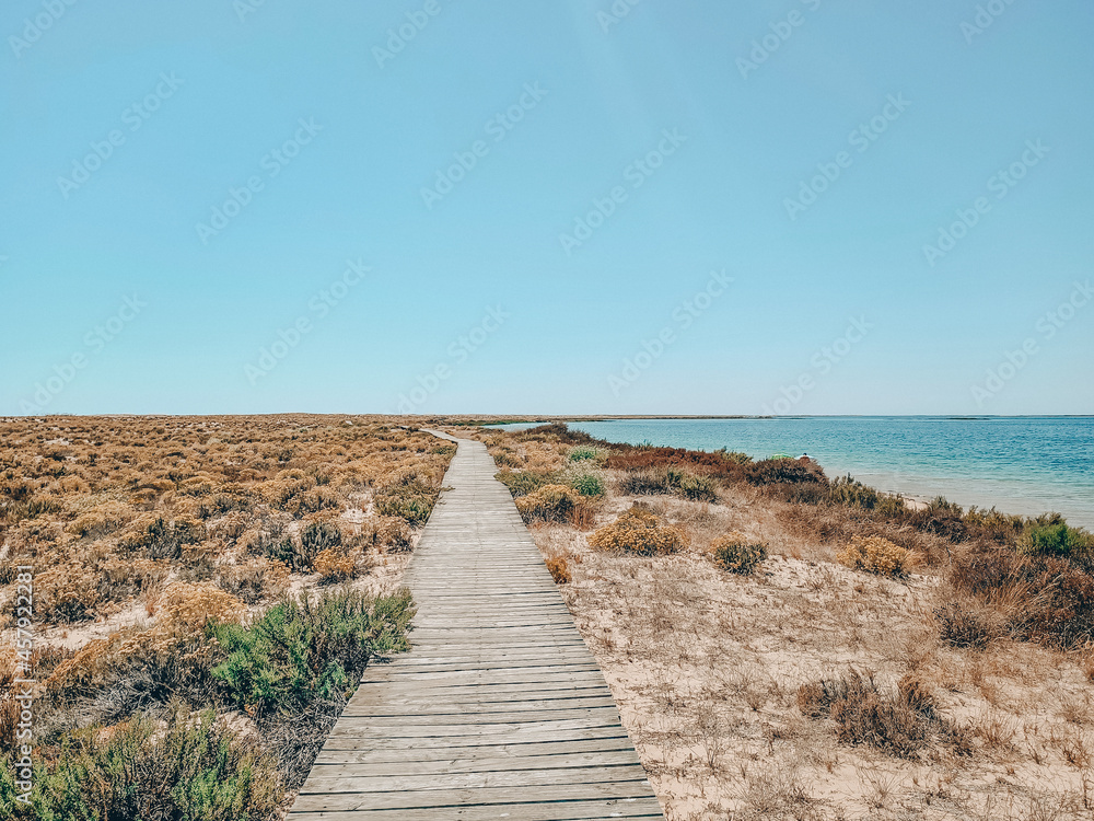 Chemin de bois pour une randonnée sur une île déserte en Algarve- Ilha Deserta