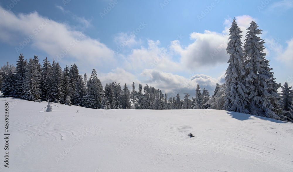 Fototapeta premium Winter time