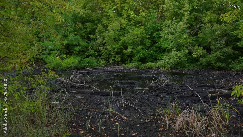 Polluted landscape. Black water of oil puddle or small lake of oily wastes, dead trees and plastic trash Polluted landscape. Black water of oil puddle or small lake of oily wastes, dead trees and plastic trash