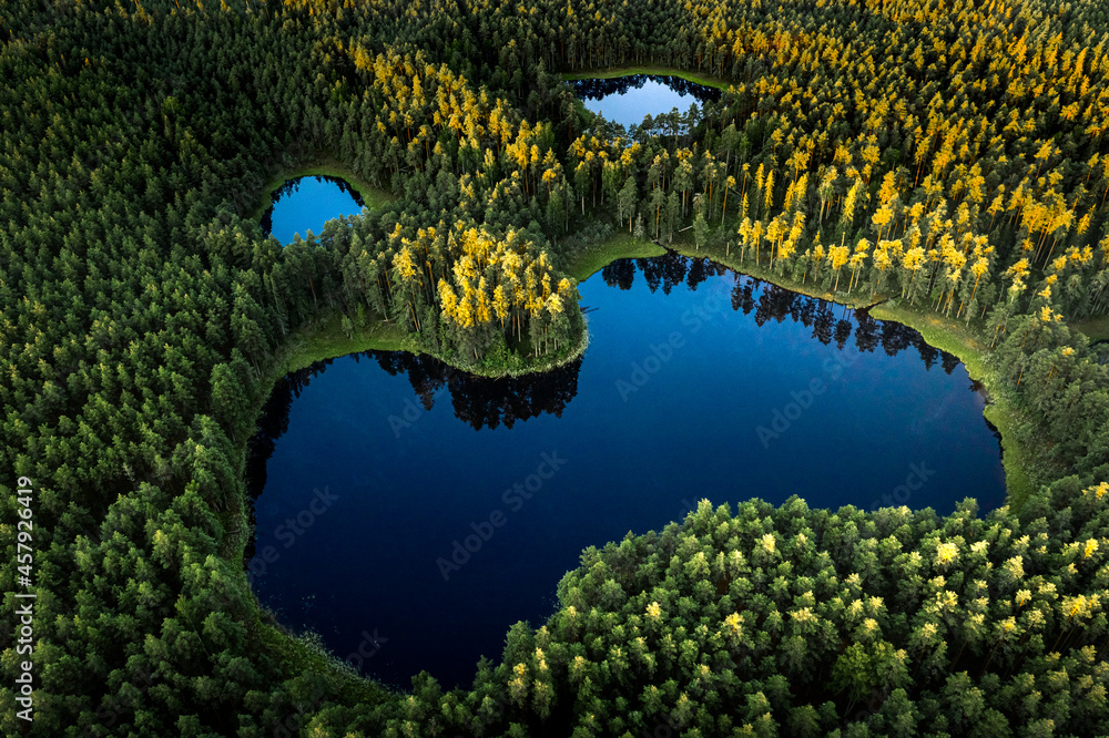 Aerial view of sunrise over a pine forest with lake. Foggy and colorful morning in countryside.