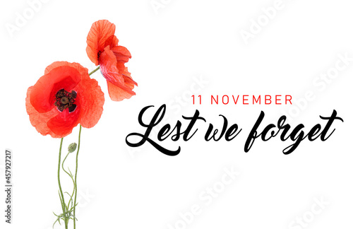 Obraz na płótnie Red poppy flowers on white background. Remembrance Day in Canada