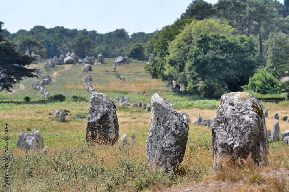 Alignments of menhirs at Carnac in Brittany France Alignments of menhirs at Carnac in Brittany France