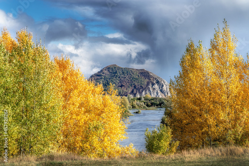 Autumn landscape with trees in the foreground. A river and a mountain can be seen between the yellow leaves. Cloudy sky.