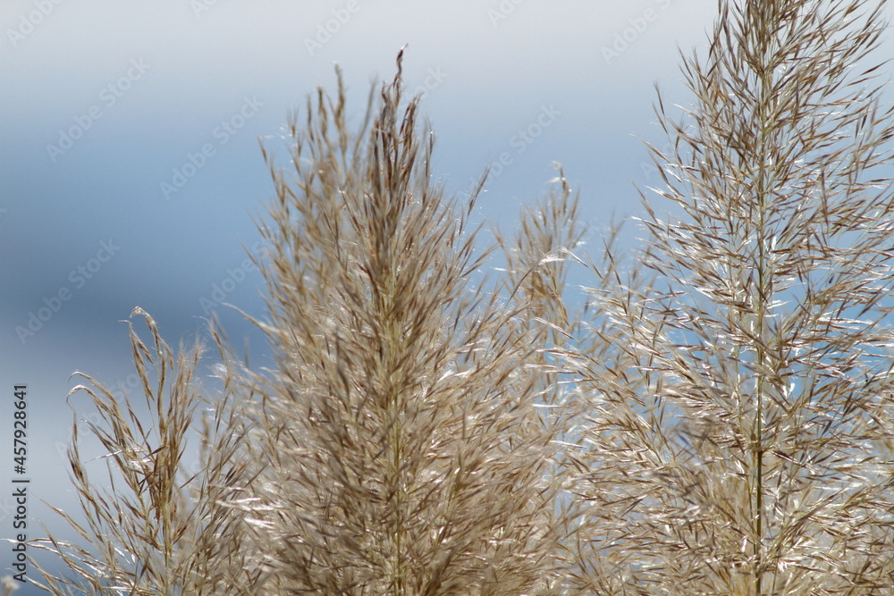 Cooler in the morning and evening is an indication that Autumn is near Cooler in the morning and evening is an indication that Autumn is near