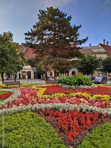 Bistrita, Romania, flower round in the Central Square 2021