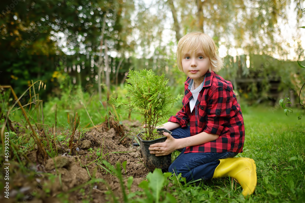 Little boy is helping his parents to transplant a thuja seedling. Child is holding a flower pot with a thuja plant. Seasonal work in the garden. Gardening. Little boy is helping his parents to transplant a thuja seedling. Child is holding a flower pot with a thuja plant. Seasonal work in the garden. Gardening.