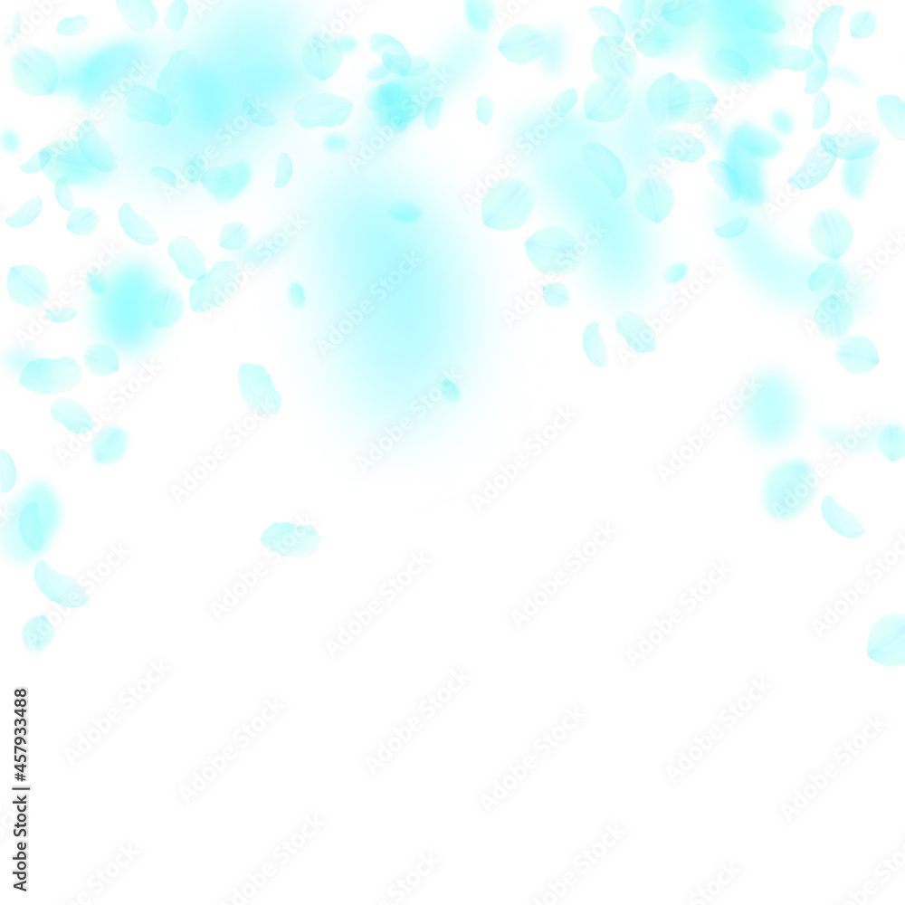 Turquoise flower petals falling down. Powerful rom