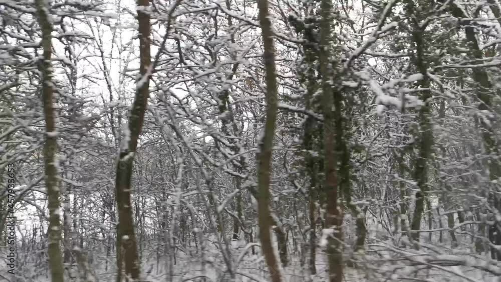 Winter forest car window movement. A journey through the winter forest, the concept of a winter holiday, vacation. Natural fast-moving background, screensaver. Russian landscape harsh cold winter Winter forest car window movement. A journey through the winter forest, the concept of a winter holiday, vacation. Natural fast-moving background, screensaver. Russian landscape harsh cold winter