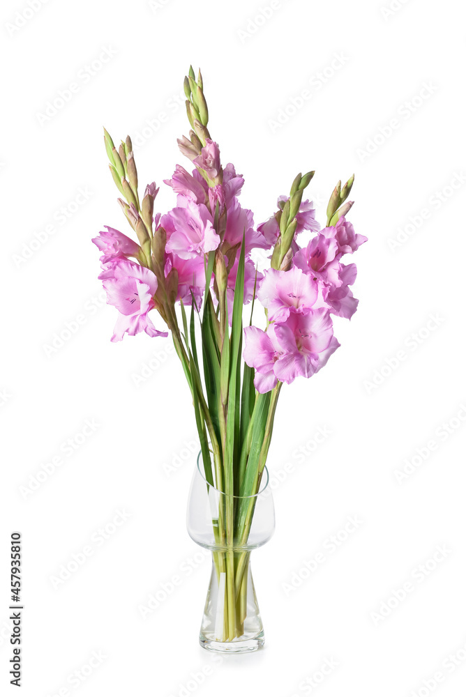 Vase with beautiful gladiolus flowers on white background Vase with beautiful gladiolus flowers on white background