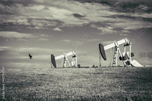 oil pump in the field