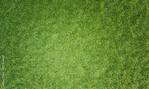 Top view Fresh green lawn F...