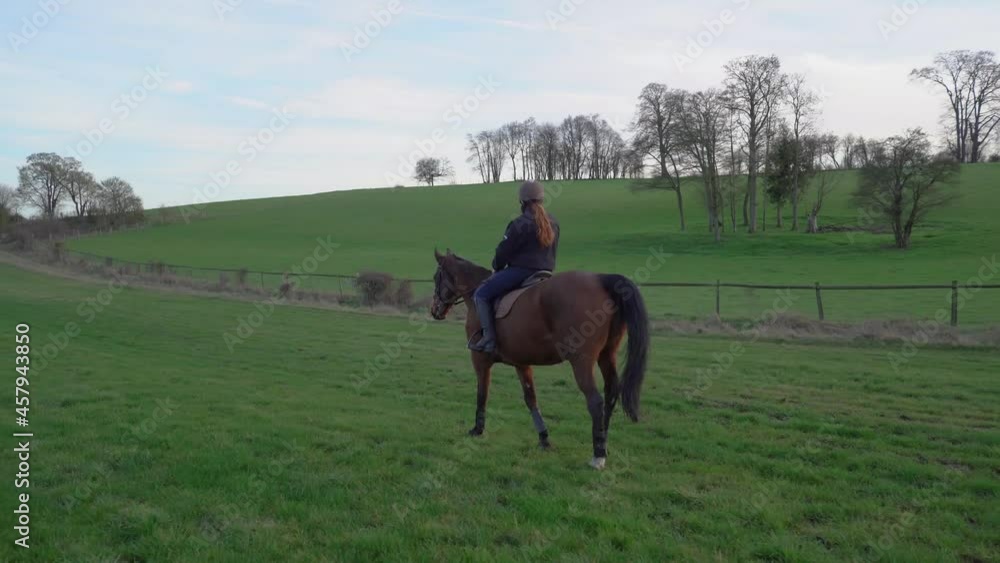 Young girl horseback riding a brown horse on a green lawn in the countryside on a sunny day, wide shot Young girl horseback riding a brown horse on a green lawn in the countryside on a sunny day, wide shot