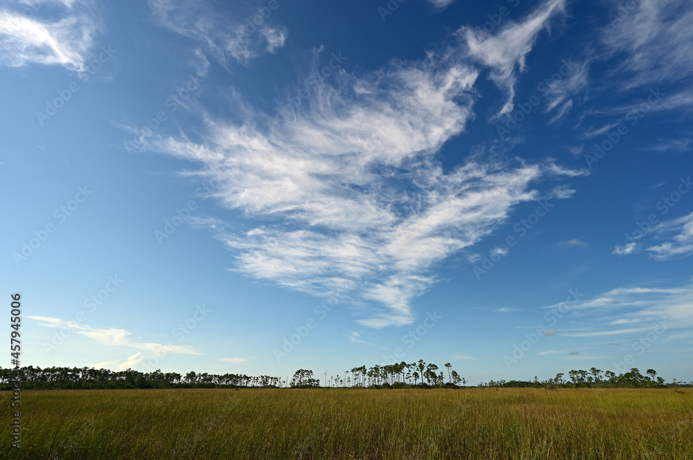 Beautiful high altitude late summer cloudscape over sawgrass prairie in Everglades National Park,Florida.