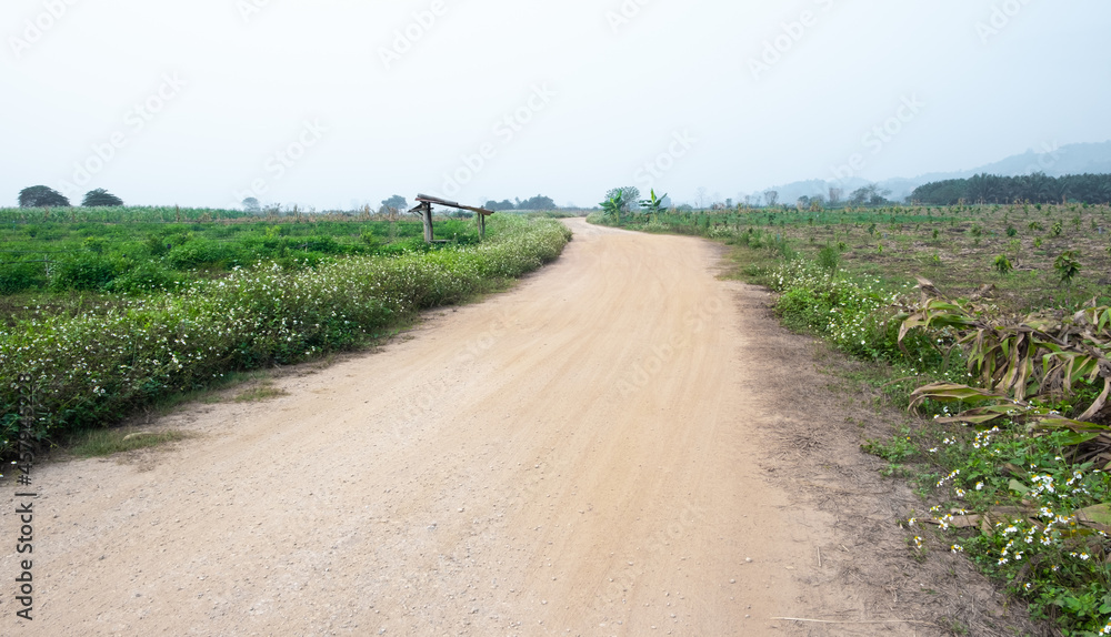Rural dirt road and grass on both sides of the road. Path in rural fields. Rural dirt road and grass on both sides of the road. Path in rural fields.