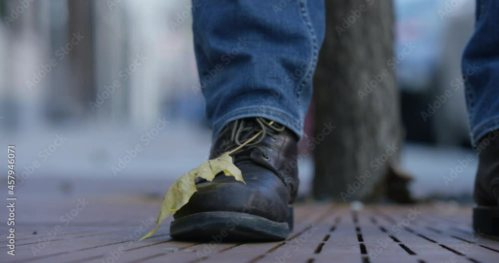 Yellow leaf landed got stuck on black boot person trying to shake leaf off Yellow leaf landed got stuck on black boot person trying to shake leaf off