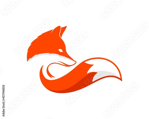 Luxury fox with orange and white colors