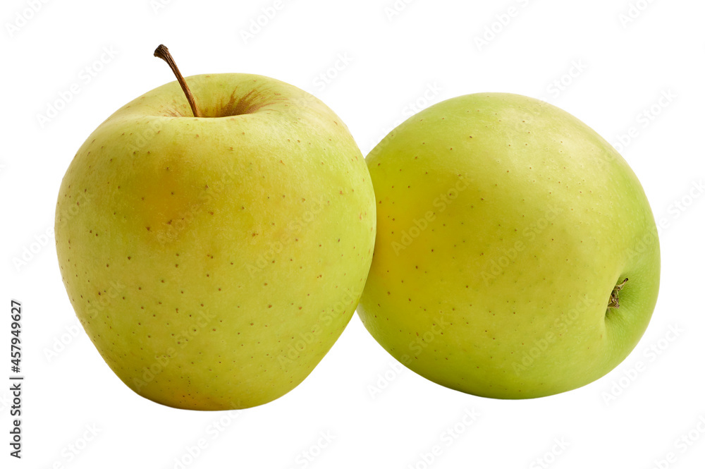 The fresh Golden Delicious apples are isolated on a white background. The fresh Golden Delicious apples are isolated on a white background.