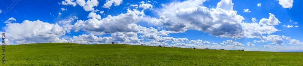 Green grassland natural scenery in Xinjiang,China.Wide grassland and blue sky with white clouds landscape. Green grassland natural scenery in Xinjiang,China.Wide grassland and blue sky with white clouds landscape.