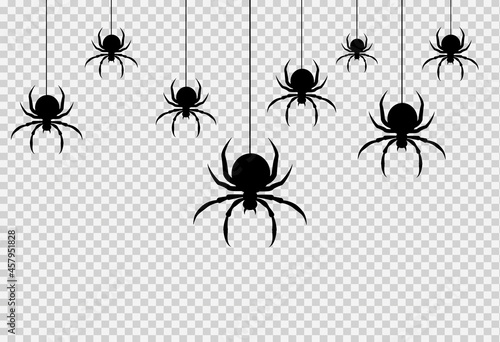 Spider  hanging from spiderwebs isolated  on png or transparent  background, halloween banner, template for poster, brochure, advertising, promotion,sale marketing vector illustration