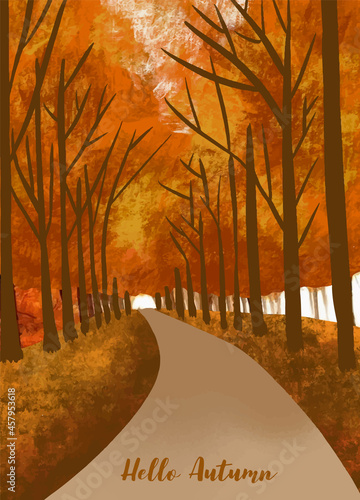 autumn forest background with tree,leaves,sky,road