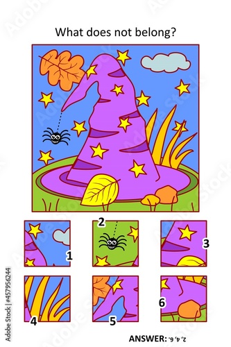 Visual puzzle with picture fragments. Halloween witch hat. What does not belong?
