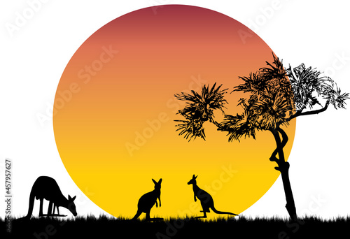 pandanus tree moon and kangaroo