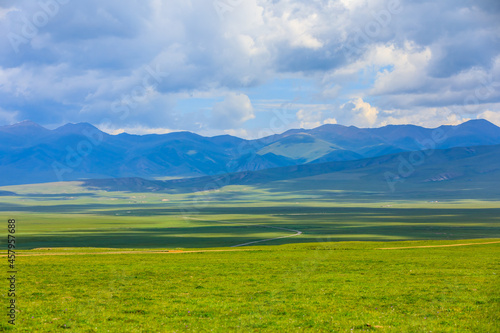 Green grassland natural scenery in Xinjiang,China.Wide grassland and blue sky with white clouds landscape.