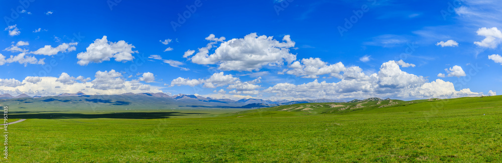 Fototapeta premium Green grassland natural scenery in Xinjiang,China.Wide grassland and blue sky with white clouds landscape.panoramic view.