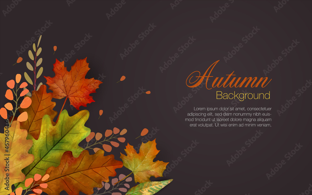 Autum leaves background in brown with colorful group of falling leaves in lower left and copyspace of text area. Autum leaves background in brown with colorful group of falling leaves in lower left and copyspace of text area.
