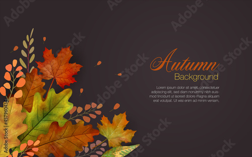 Autum leaves background in brown with colorful group of falling leaves in lower left and copyspace of text area.